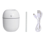 Ultrasonic Humidifier 220ML Electric Mini Air Purifier LED Lamp USB Essential Oil Diffuser Home Purifier Aroma Anion Mist Maker