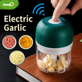 saengQ Electric Garlic Meat Garlic Masher Garlic Press Vegetable Chili  Chopper Press USB Masher Machine Kitchen Gadgets