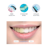 XFU Seago Electric Toothbrush Sonic Adult Battery Teeth Brush Holder with 3 Replacement Brush Heads Waterproof IPX7 Smart Time