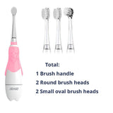 Seago Children Sonic Electric Toothbrush Battery Power LED Light Smart Timer Waterproof IPX7 Replaceable Dupont Brush Head SG513