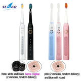 New Seago Sonic Electric Toothbrush SG-507 Adult Timer Brush USB Charger Rechargeable Tooth Brushes /Replacement Brush Heads/box