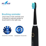 New Seago Sonic Electric Toothbrush SG-507 Adult Timer Brush USB Charger Rechargeable Tooth Brushes /Replacement Brush Heads/box