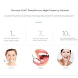 Sonic Electric Toothbrush Ultrasonic Automatic USB Rechargeable IPX7 Waterproof Travel Box Holder Toothbrush Tooth Brush Heads