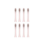 Sonic Electric Toothbrush Ultrasonic Automatic USB Rechargeable IPX7 Waterproof Travel Box Holder Toothbrush Tooth Brush Heads